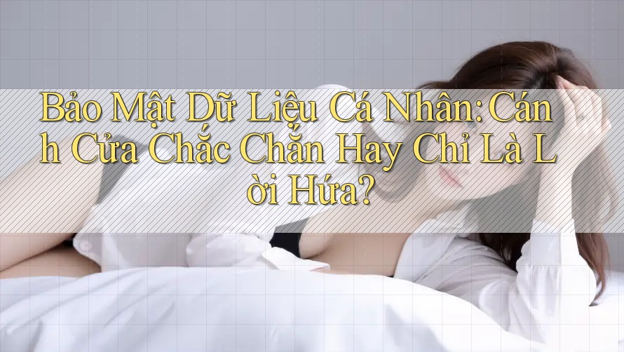 Bảo Mật Dữ Liệu Cá Nhân: Cánh Cửa Chắc Chắn Hay Chỉ Là Lời Hứa?
