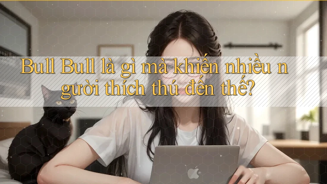 Bull Bull là gì mà khiến nhiều người thích thú đến thế?