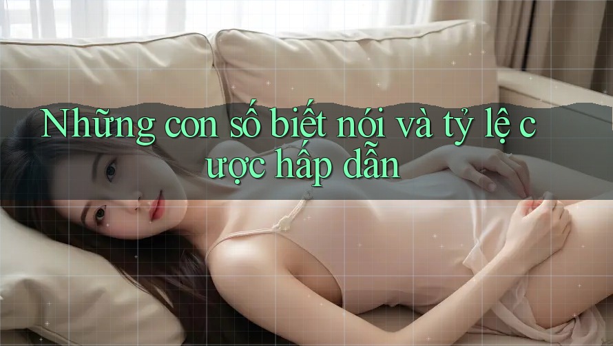Những con số biết nói và tỷ lệ cược hấp dẫn