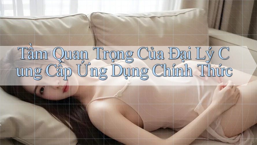 Tầm Quan Trọng Của Đại Lý Cung Cấp Ứng Dụng Chính Thức